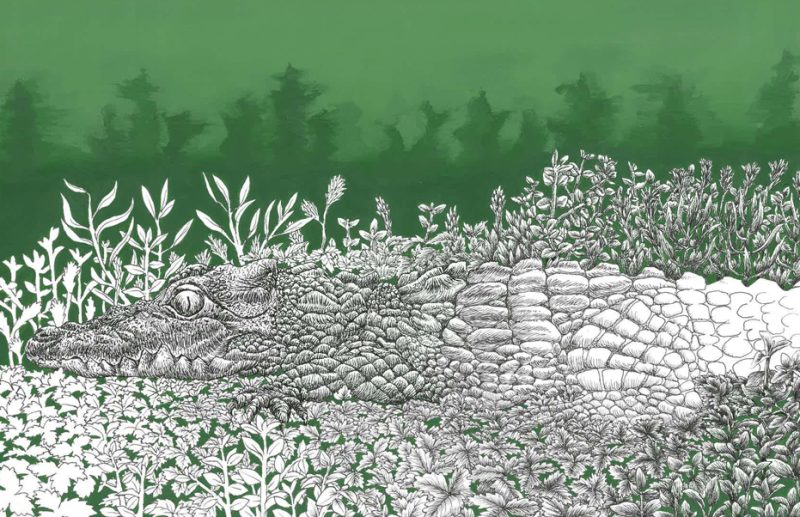 Had I Another Chance