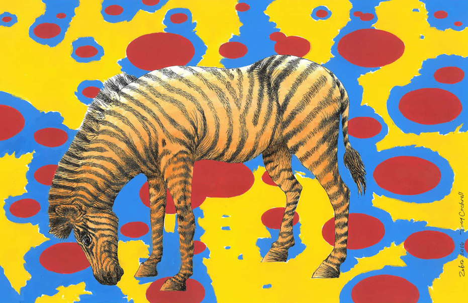 Zebra (consequences)