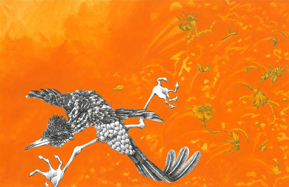 Roadrunner 1 (optimism)