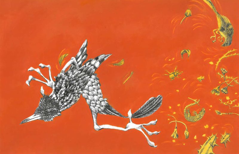 Roadrunner 2 (optimism)