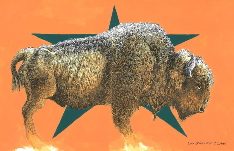 Bison (orange)
