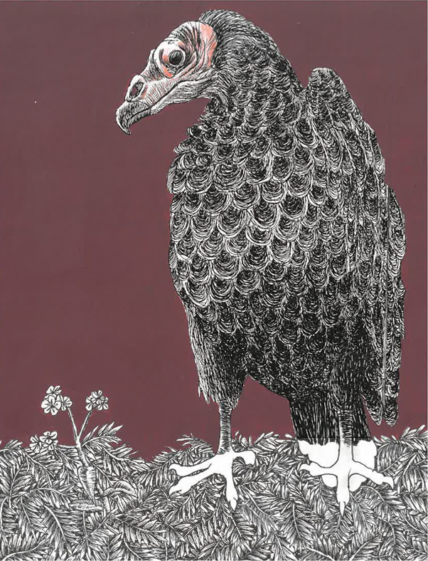 Where Earth Meets Sky