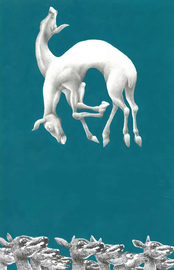 Deer (determination)