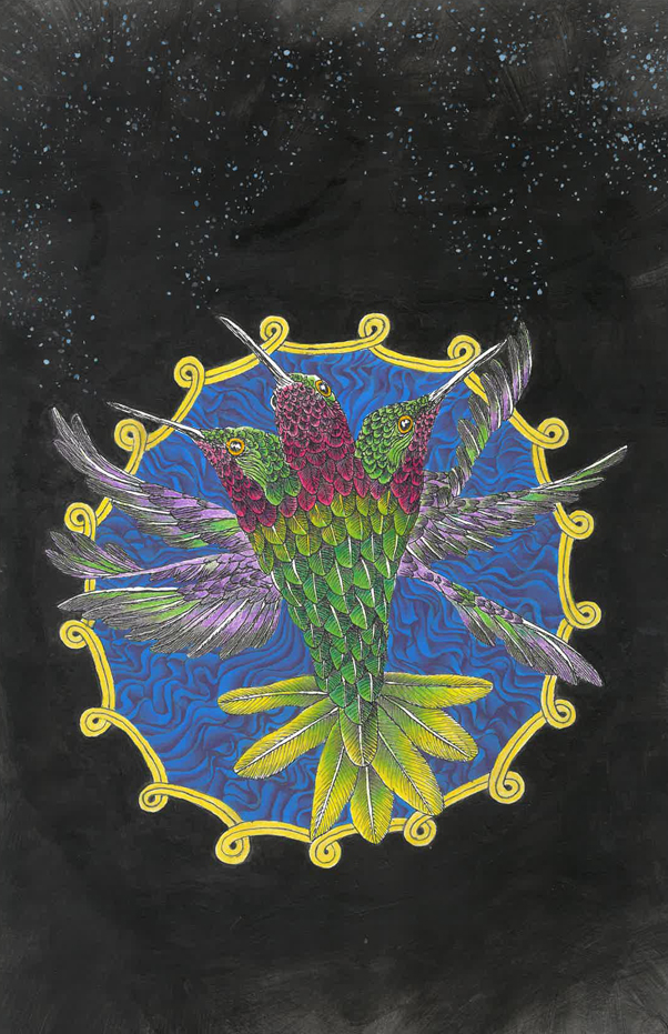 Hummingbird (confidence)